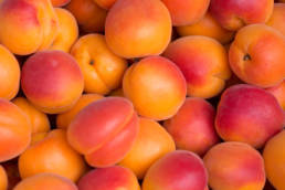 abricots